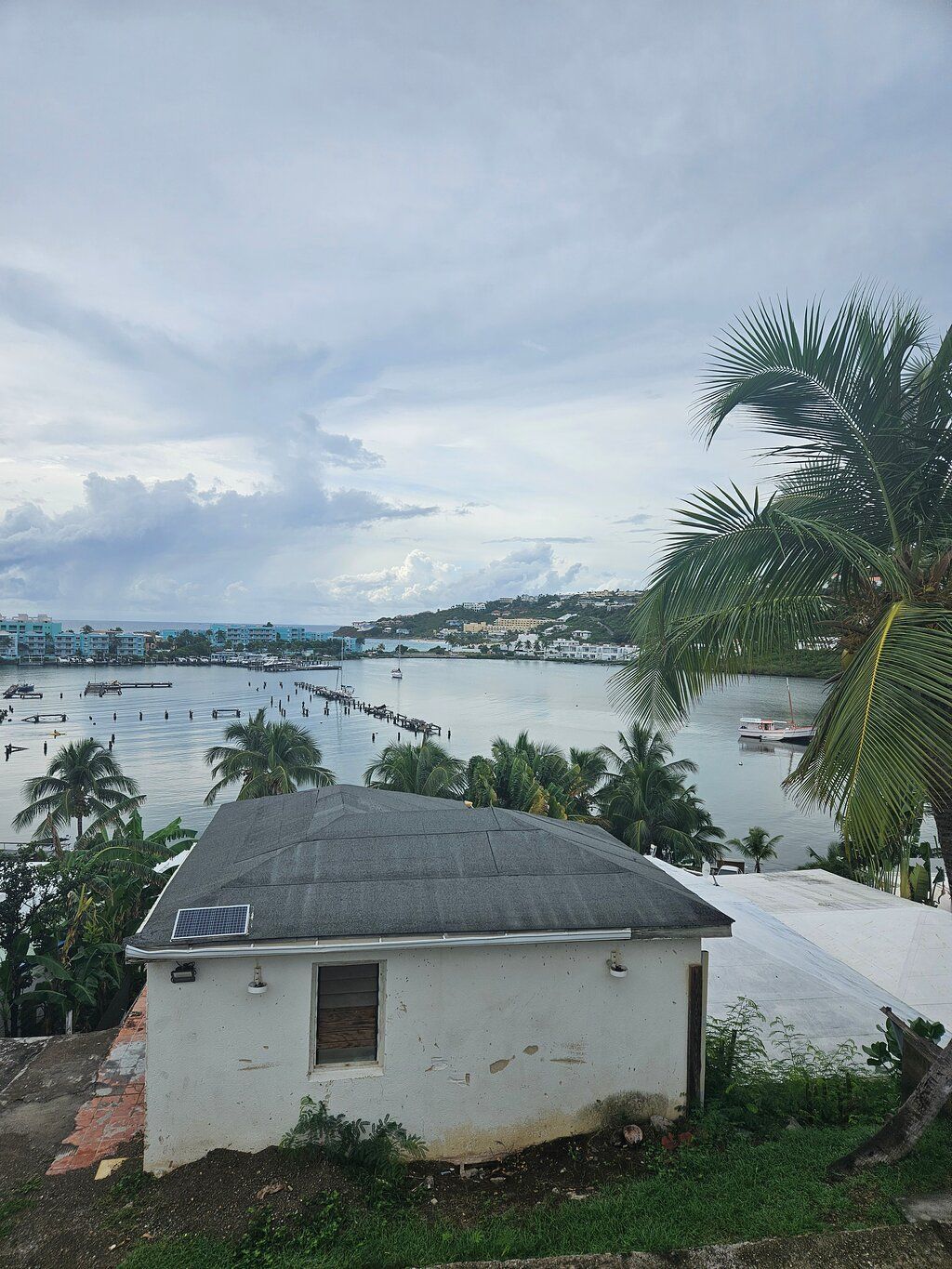 Palm-framed view over the lagoon and bay from a lookout on the Best of St. Martin private tour